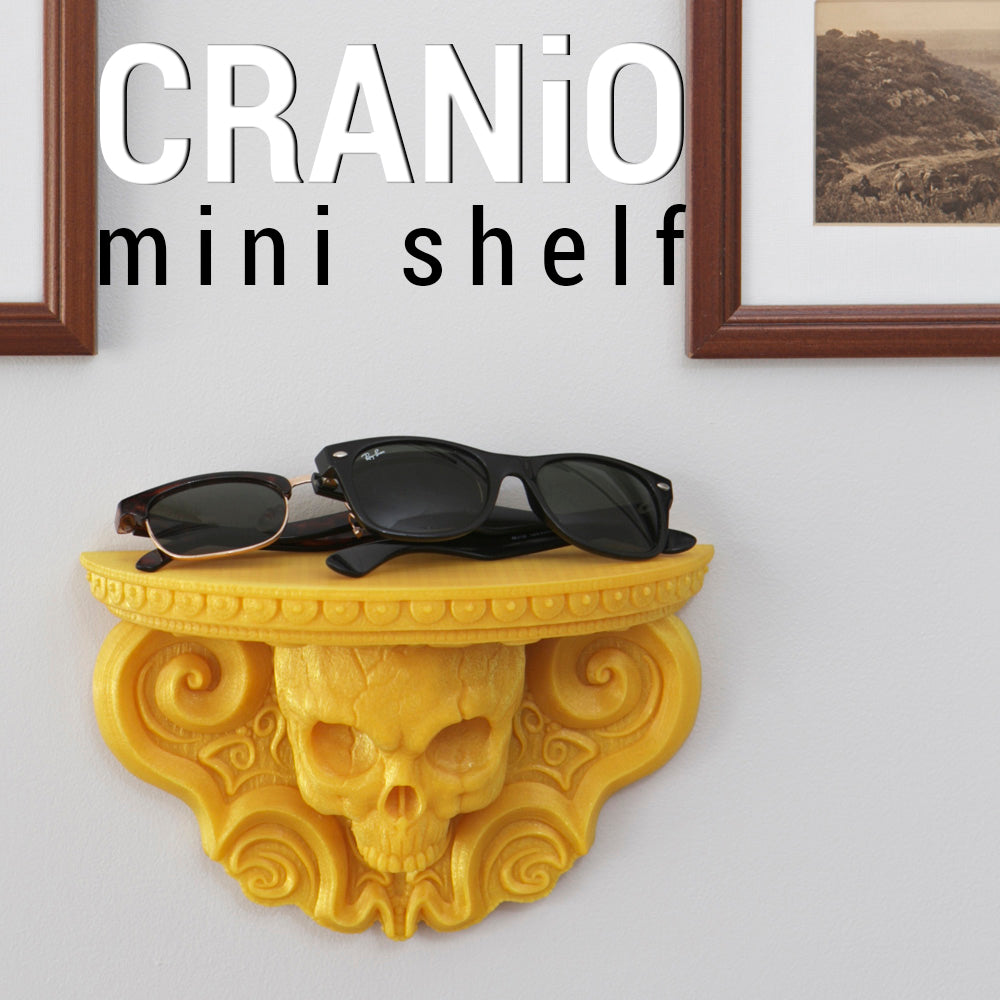 Cranio Skull Shelf 3D Printed