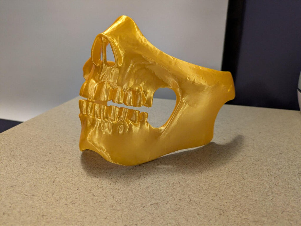 3D Printed Skeleton Mask